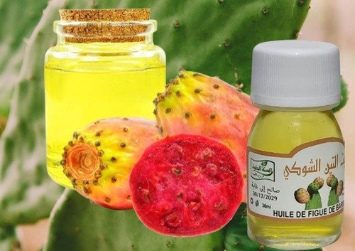 Moroccan prickly pear seed oil - moroccan,